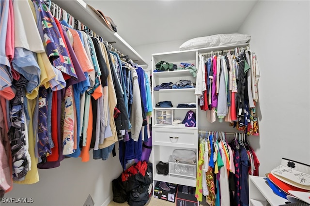 view of spacious closet