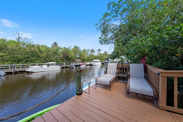 dock area with a water view