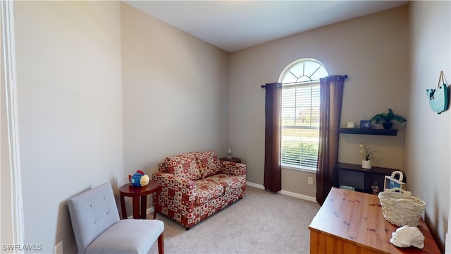 sitting room with light colored carpet