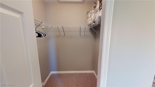 spacious closet with carpet floors