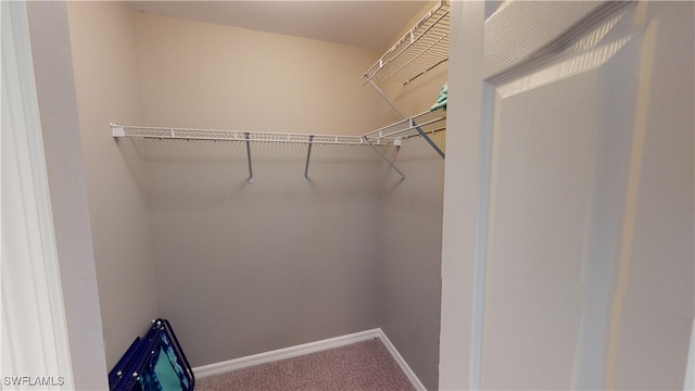 walk in closet featuring carpet