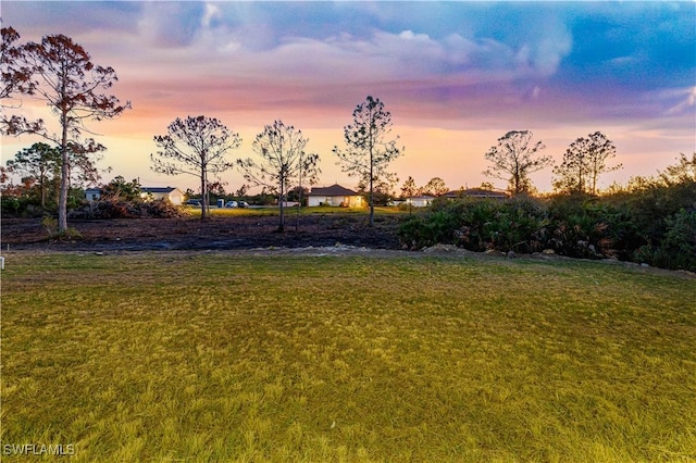 view of yard at dusk