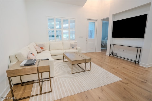 living room with wood-type flooring