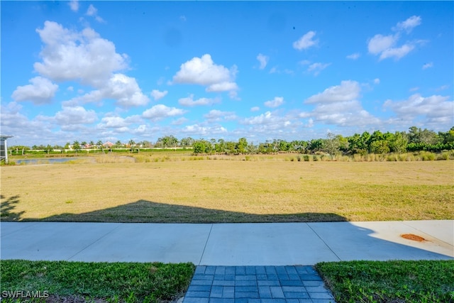 view of yard with a rural view