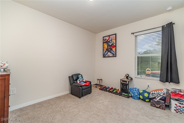 recreation room with light carpet