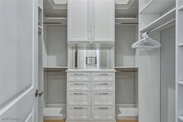 view of spacious closet