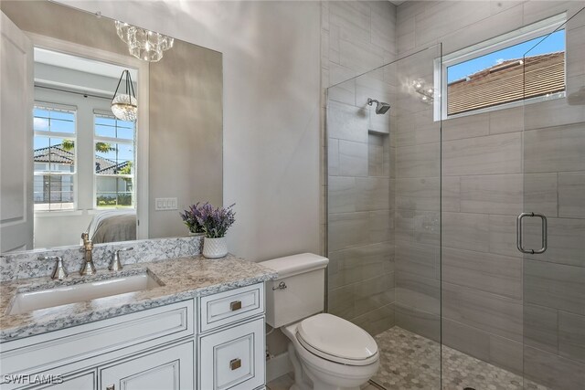 bathroom featuring vanity, a shower with shower door, a healthy amount of sunlight, and toilet