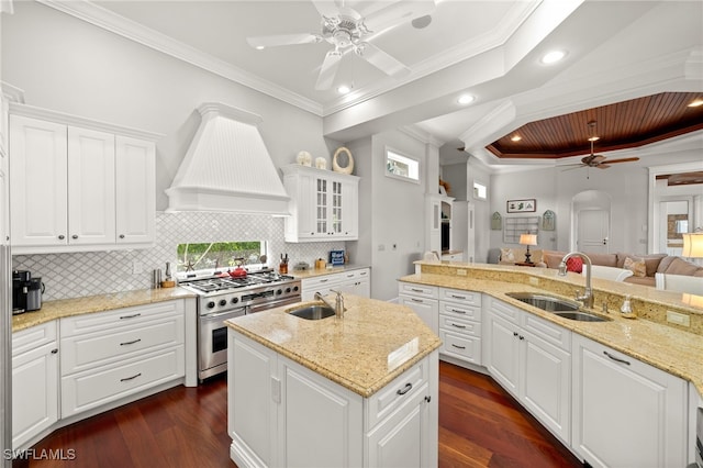 kitchen featuring premium range hood, ornamental molding, sink, stainless steel stove, and dark hardwood / wood-style floors