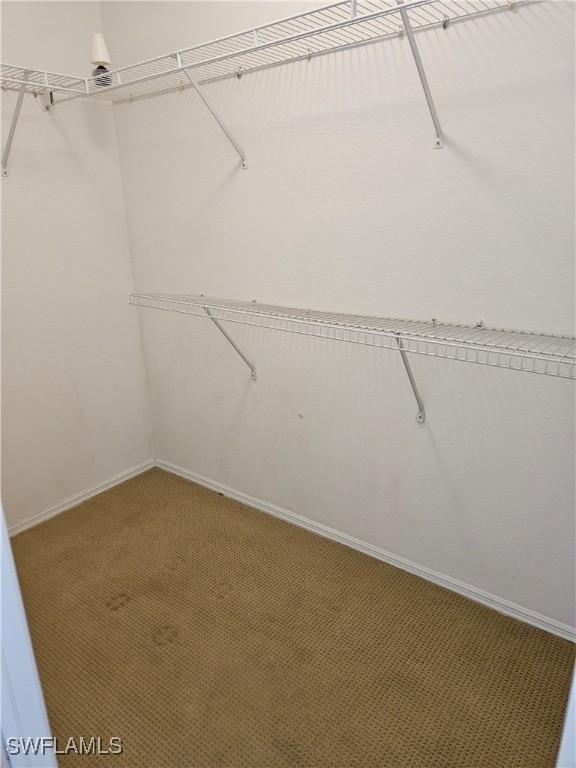 spacious closet with carpet