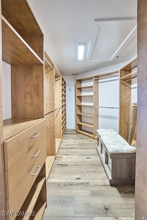 walk in closet featuring light hardwood / wood-style floors