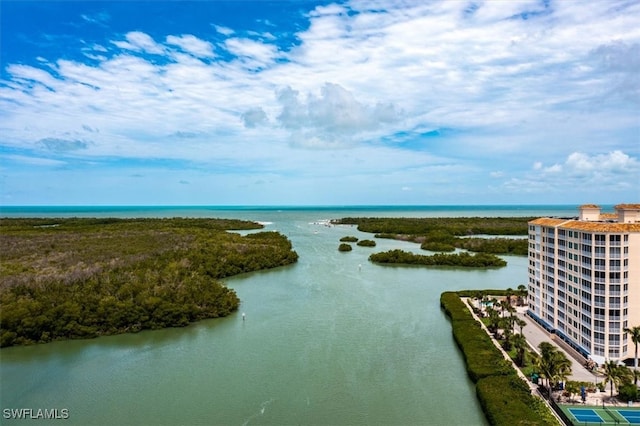 birds eye view of property with a water view