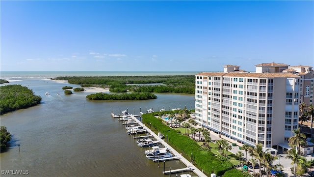 aerial view with a water view