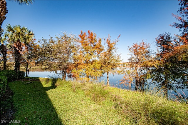 view of water feature