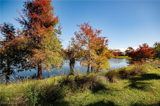 water view