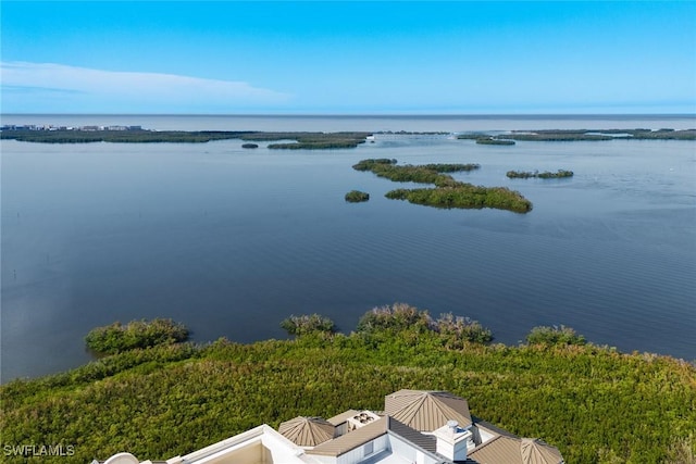 bird's eye view with a water view