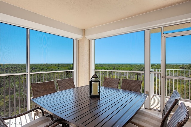 view of sunroom / solarium