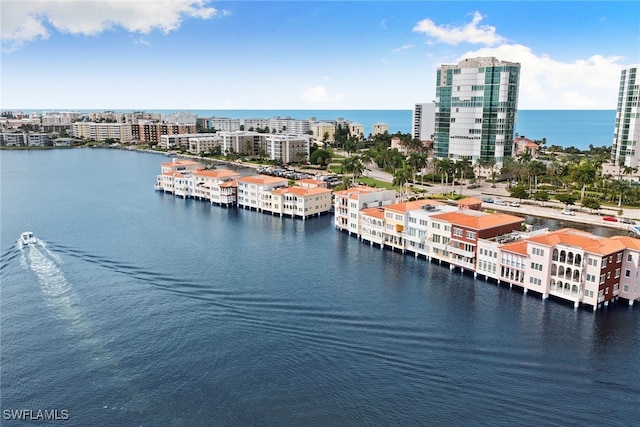 drone / aerial view with a water view