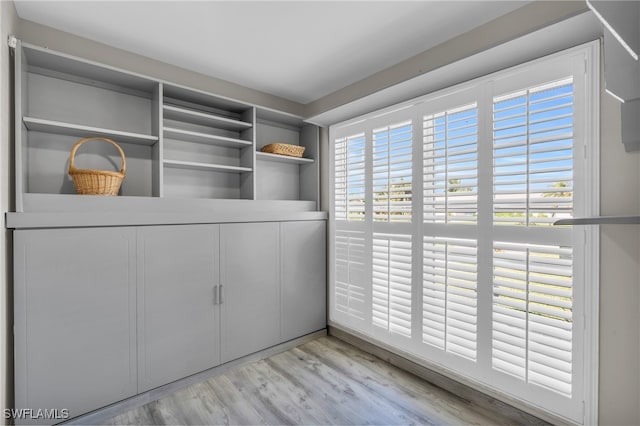 spacious closet featuring light wood-type flooring