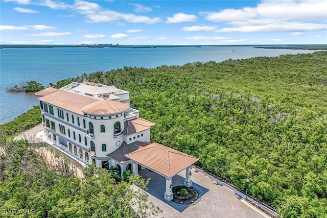 bird's eye view with a water view