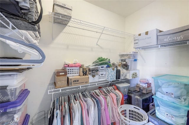 view of spacious closet