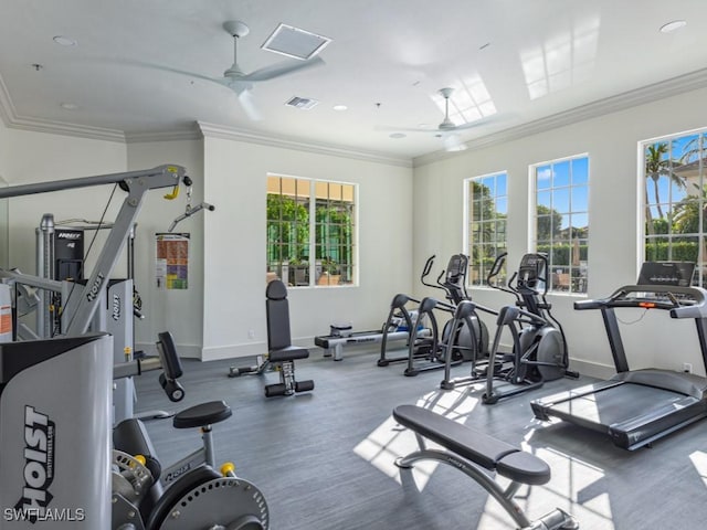 workout area with ceiling fan and ornamental molding