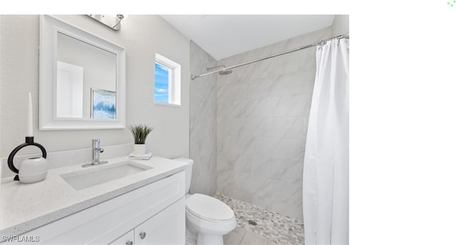 bathroom featuring vanity, toilet, and a shower with curtain