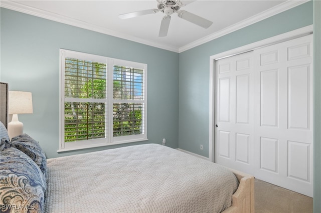 bedroom with ornamental molding, carpet floors, a closet, and ceiling fan