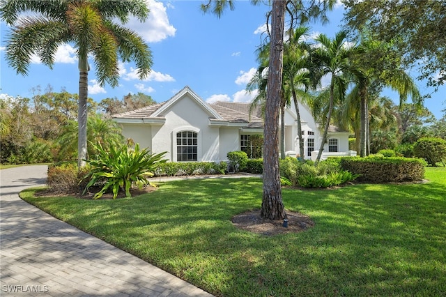 view of front facade with a front yard