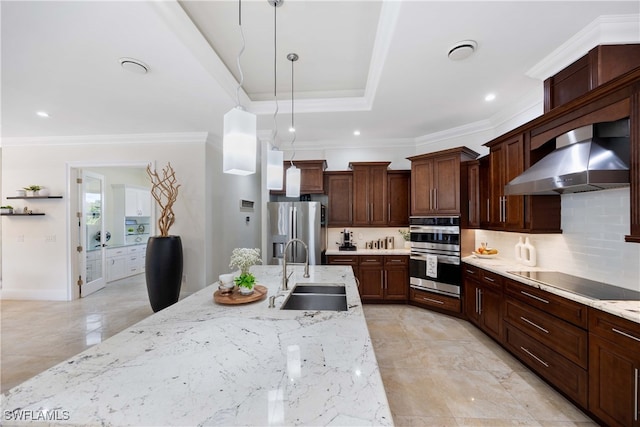 kitchen featuring sink, appliances with stainless steel finishes, decorative light fixtures, a raised ceiling, and wall chimney exhaust hood