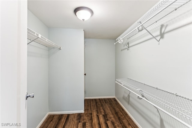 walk in closet with dark wood-type flooring