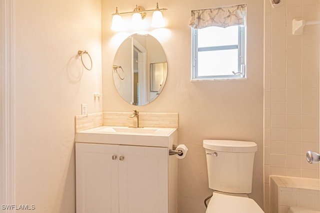 bathroom with toilet and vanity