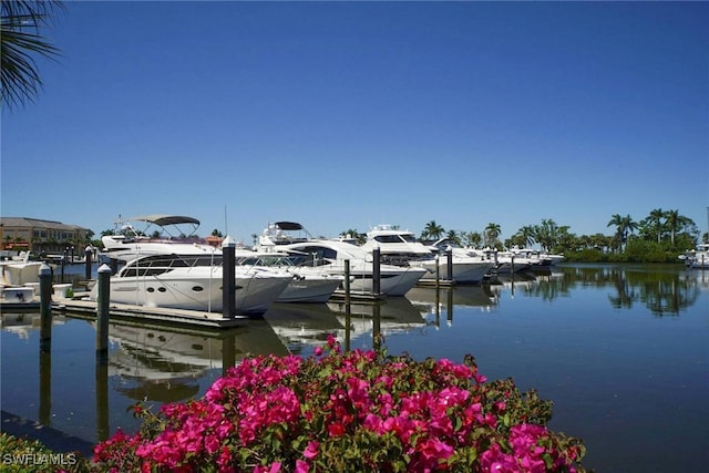 view of dock with a water view