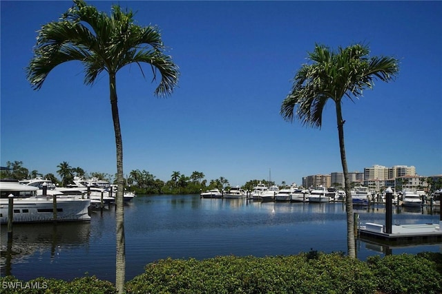 dock area with a water view