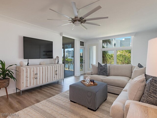 living room featuring ceiling fan and hardwood / wood-style floors