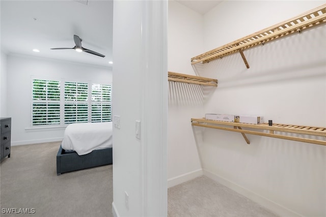 spacious closet featuring light carpet and ceiling fan