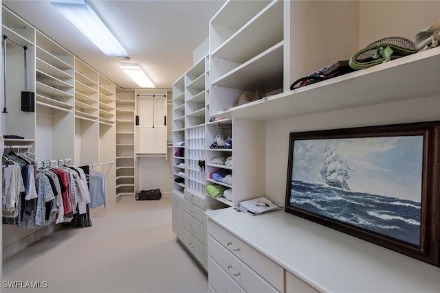 spacious closet with carpet