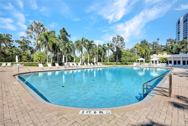 view of pool with a patio