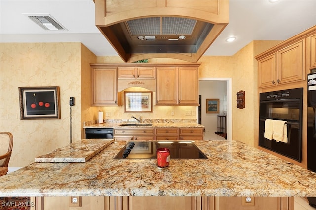 kitchen with light stone countertops, black appliances, sink, and a kitchen island with sink