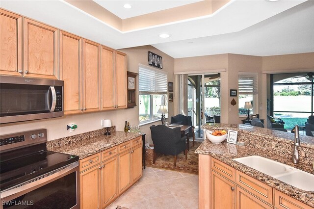 kitchen with a wealth of natural light, a tray ceiling, sink, and stainless steel appliances