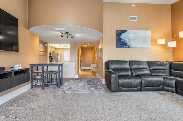 living room with rail lighting, carpet flooring, and a textured ceiling