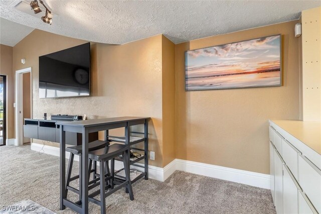 dining room with lofted ceiling, light colored carpet, and a textured ceiling