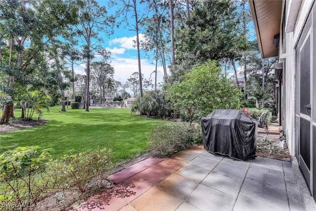 view of yard with a patio