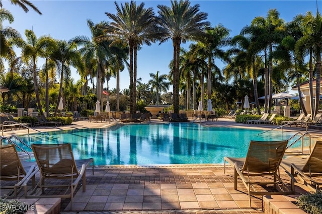 view of pool with a patio area