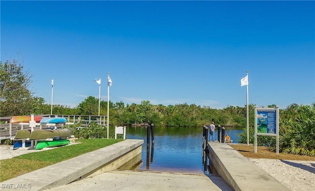 dock area with a water view