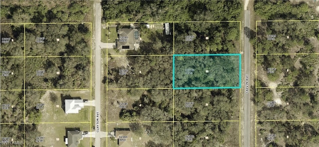 1519 Calvin Ave, Lehigh Acres FL, 33972 land for sale