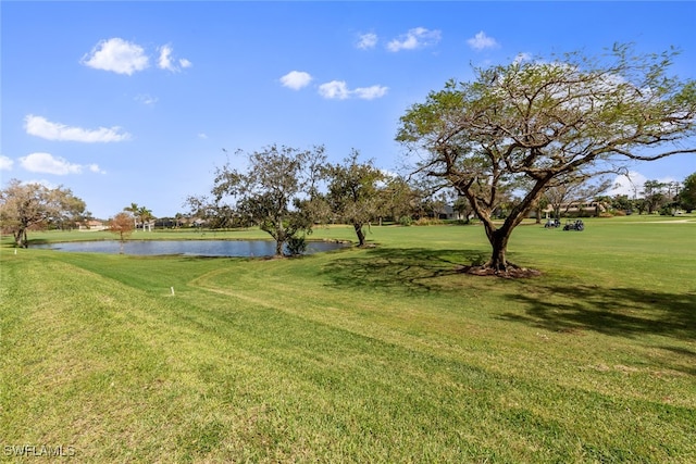 view of yard featuring a water view