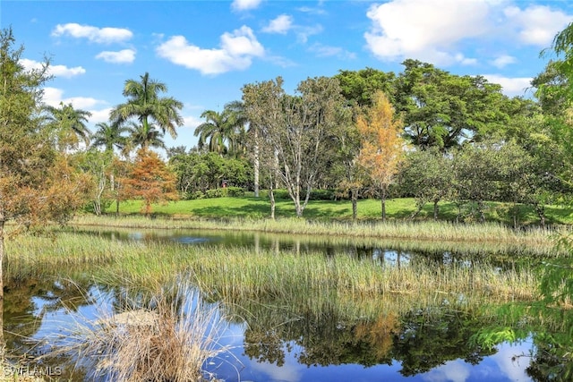 water view