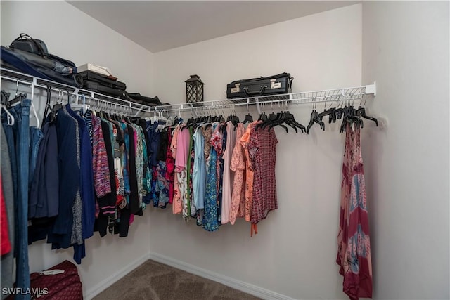 spacious closet featuring carpet flooring