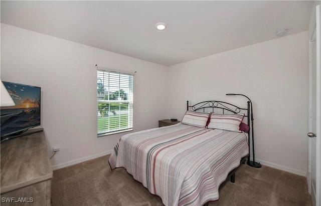 bedroom featuring carpet