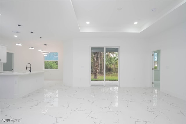 spare room featuring a tray ceiling, a wealth of natural light, and sink